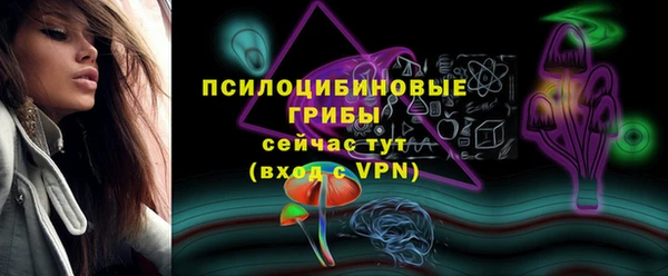 мдпв Богородск
