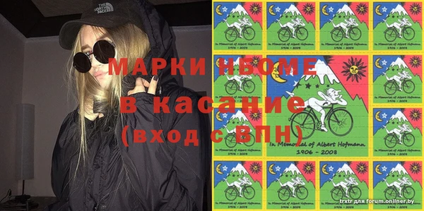 PSILOCYBIN Белокуриха