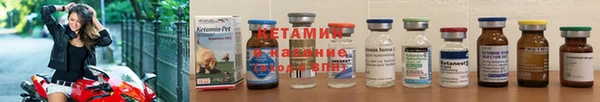PSILOCYBIN Белокуриха