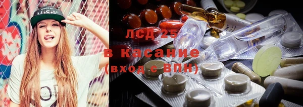 PSILOCYBIN Белокуриха