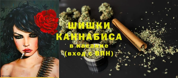 винт Богданович