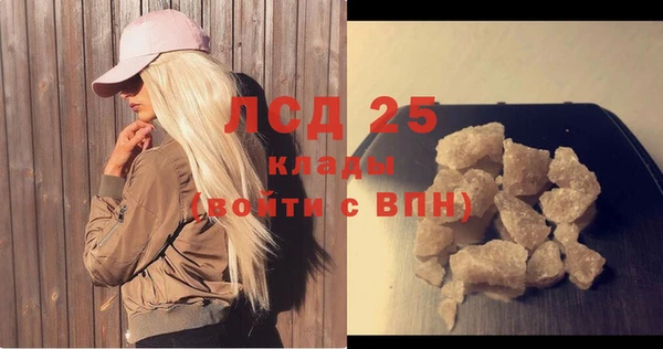 PSILOCYBIN Белокуриха