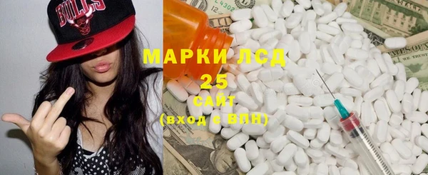 мдпв Богородск
