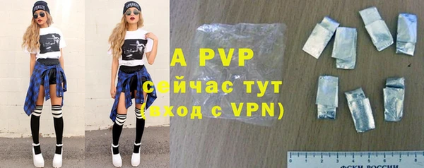 прущие грибы Баксан