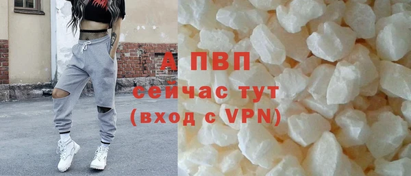 PSILOCYBIN Белокуриха