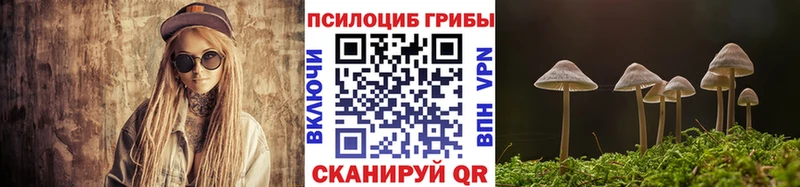 Псилоцибиновые грибы Cubensis  Белёв 